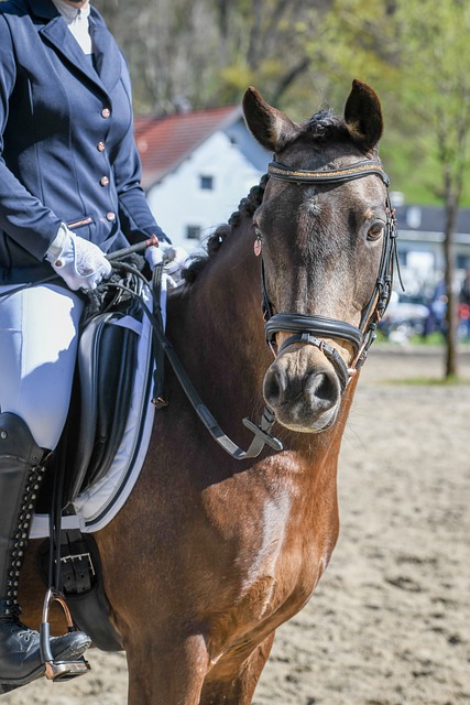 减少个人财 减少个人财