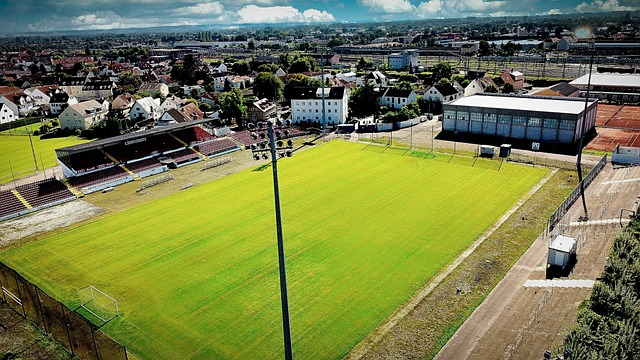 中的重要核 中的重要核