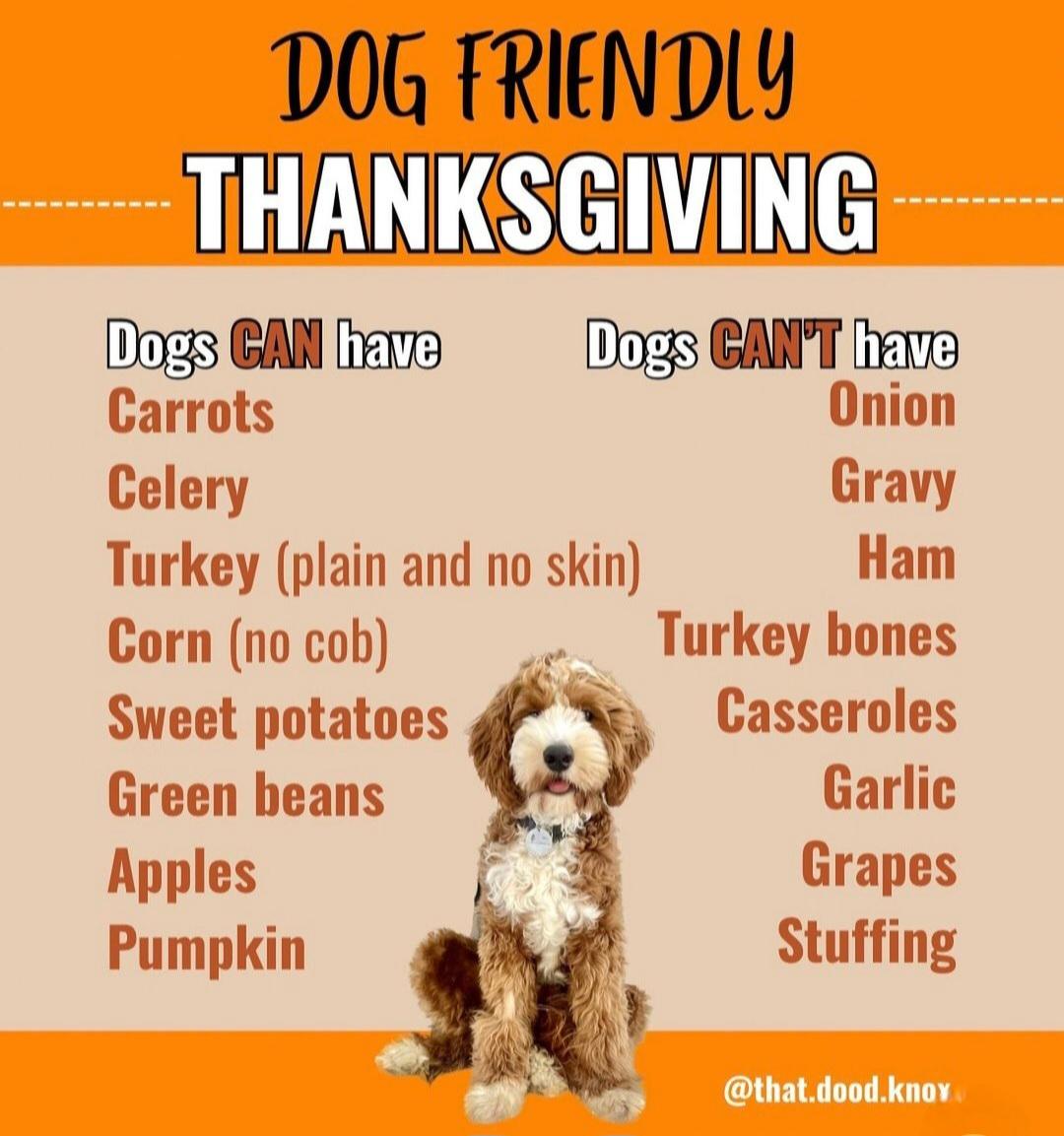 在篮球这个 在篮球这个