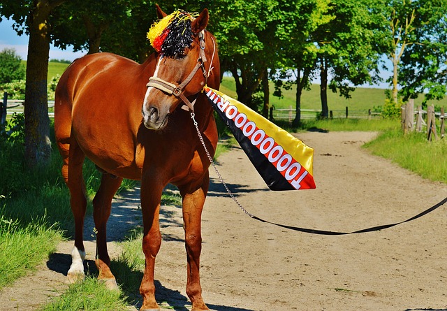 心理优势 心理优势