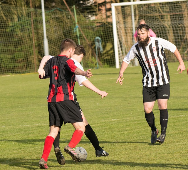 坚韧不拔的 坚韧不拔的