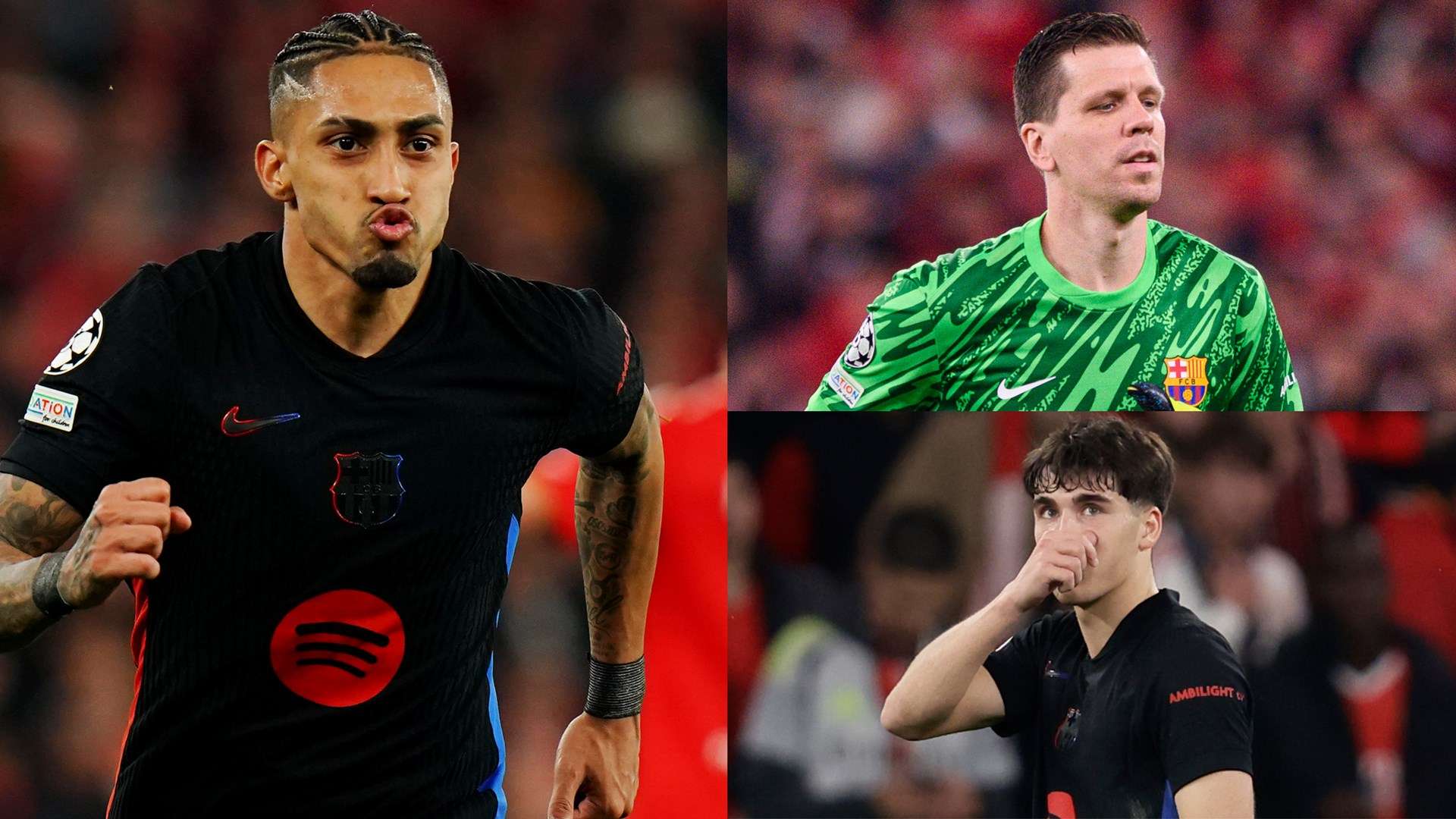 点制定了精 点制定了精