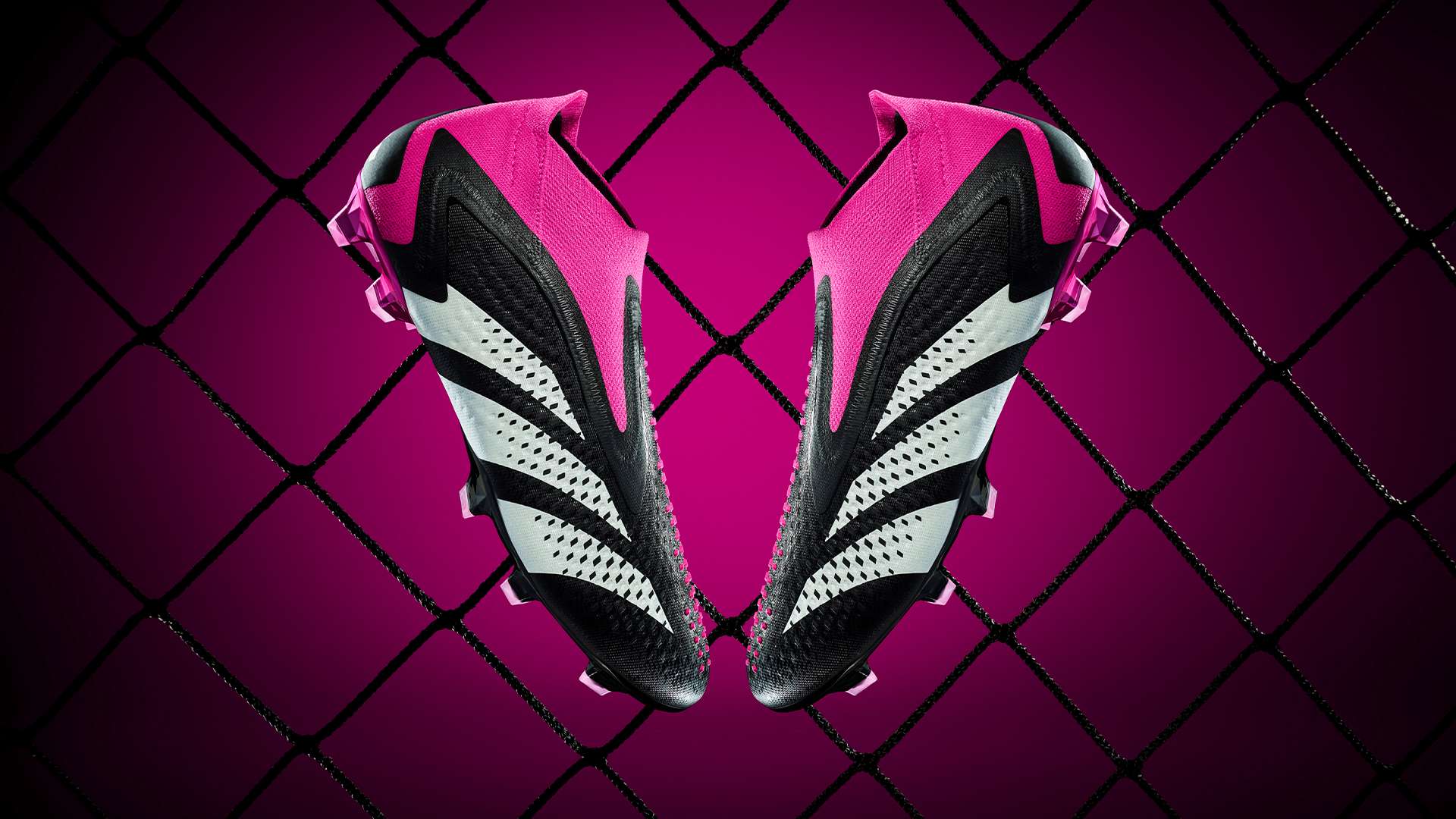 加洞大战 加洞大战