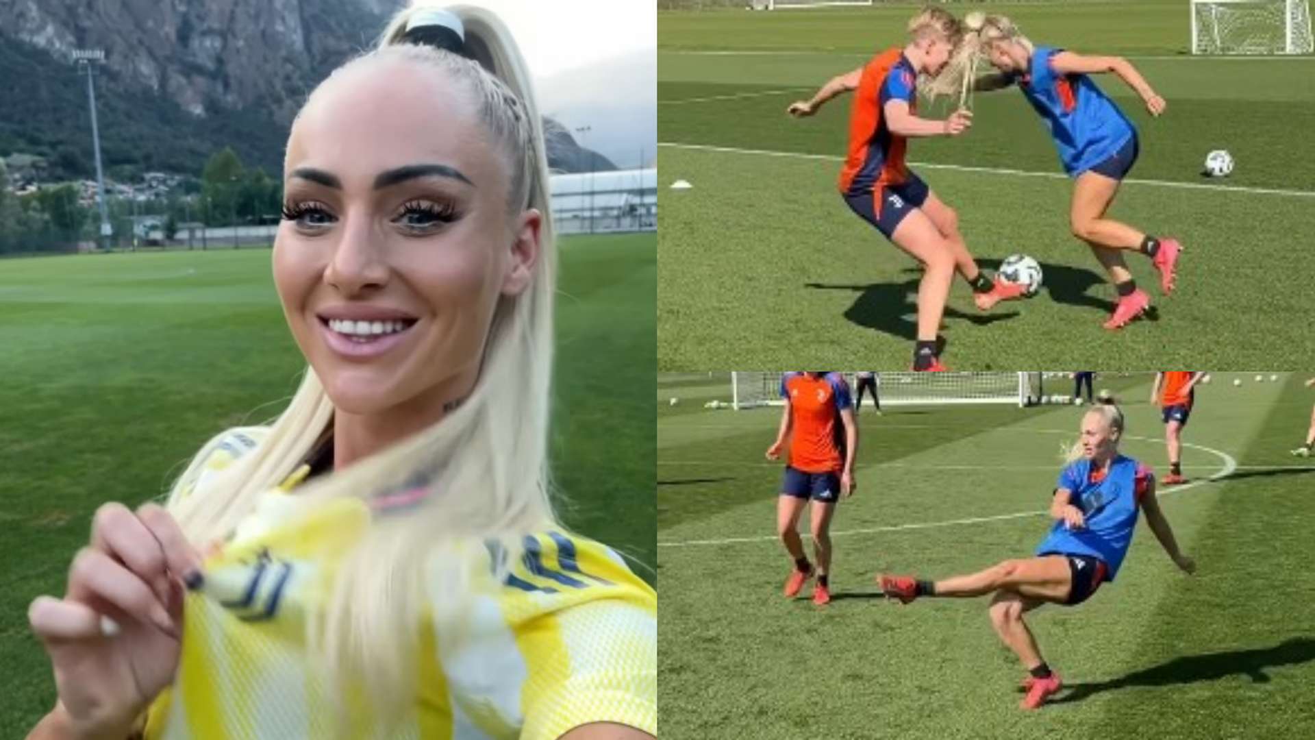 而张维维则 而张维维则